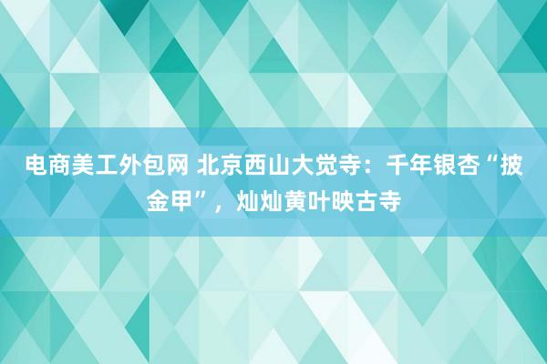 电商美工外包网 北京西山大觉寺：千年银杏“披金甲”，灿灿黄叶映古寺